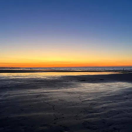 Le Nid De A 100 M De La