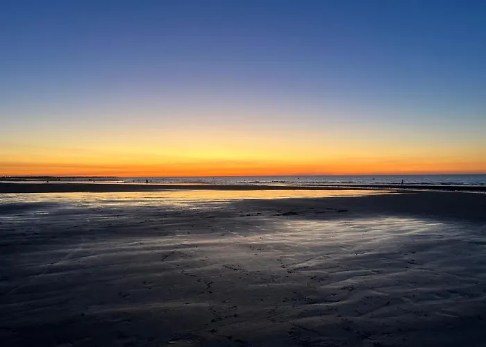 Le Nid De A 100 M De La